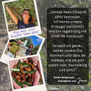 0,2 Olivenöl 1,0l Cretan Olive Mill
