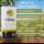 Olvia Bio Olivenöl 5,0l Tzortzis Family GR-BIO-01